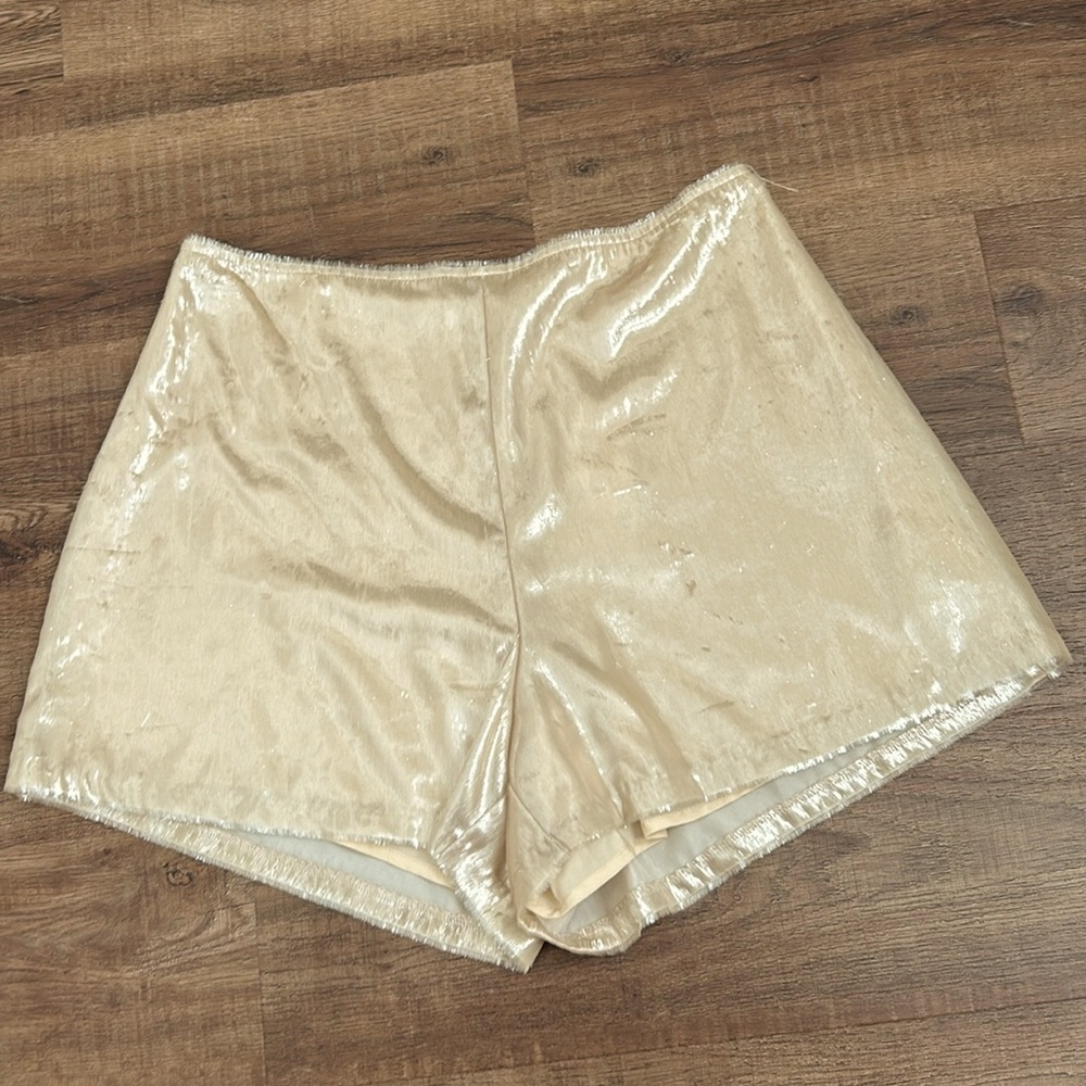 Urban Outfitters Shimmer Shorts
